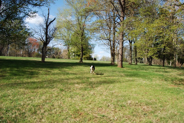 [DSC_0071 copy 2[4].jpg]
